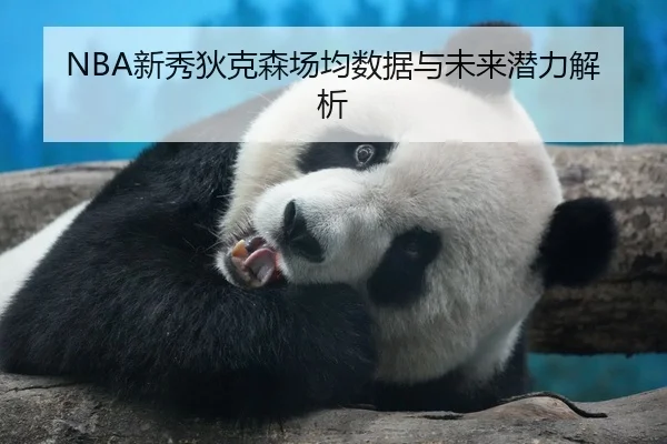NBA新秀狄克森场均数据与未来潜力解析